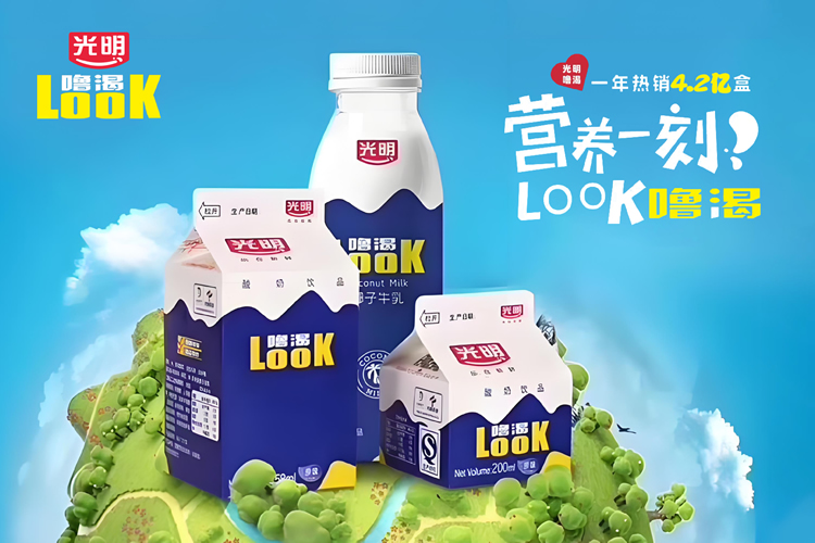 战略大单品包装服务